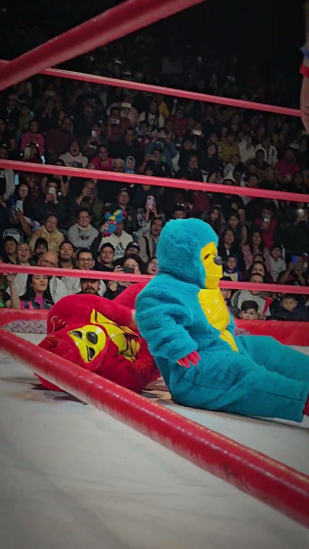 Triunfo de Kemonito ante Kemalito en la Arena López Mateos